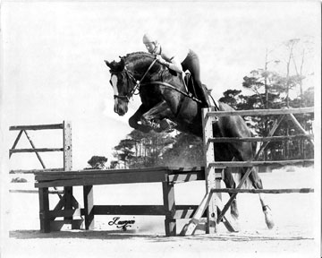 horse jumping